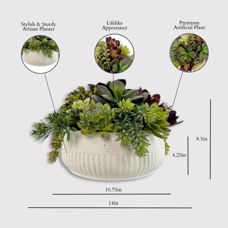 CG Hunter Round Faux Succulent Arrangement, 12" Premium Artificial Indoor Plant Enhances Interior Design, Display on any Surface in Your Home Adding an Inviting Touch of Nature, White Planter Pot Included - Image 4