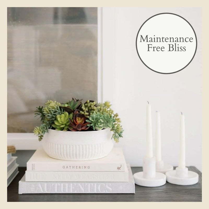 CG Hunter Round Faux Succulent Arrangement, 12" Premium Artificial Indoor Plant Enhances Interior Design, Display on any Surface in Your Home Adding an Inviting Touch of Nature, White Planter Pot Included - Image 5