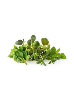 CLICK AND GROW Click  Grow Seeds Italian Herb Mix 9 Pack  - Image 3