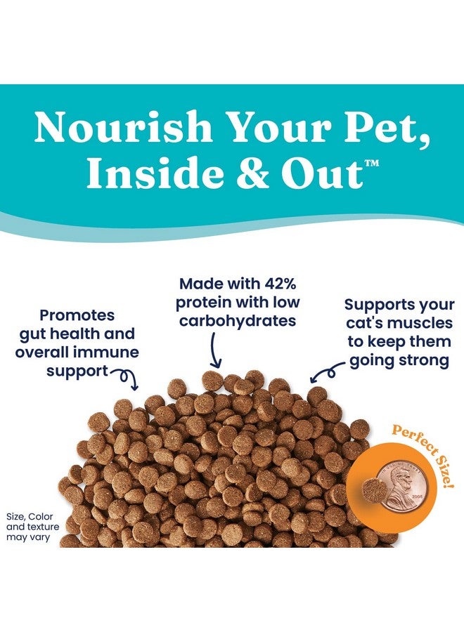 Solid Gold High Protein Dry Cat Food - Indigo Moon Made with Digestive Probiotics for Cats - Grain & Gluten Free with High Fiber & Omega 3 - Low Carb Superfood Meal - Chicken - 6lb - Image 3