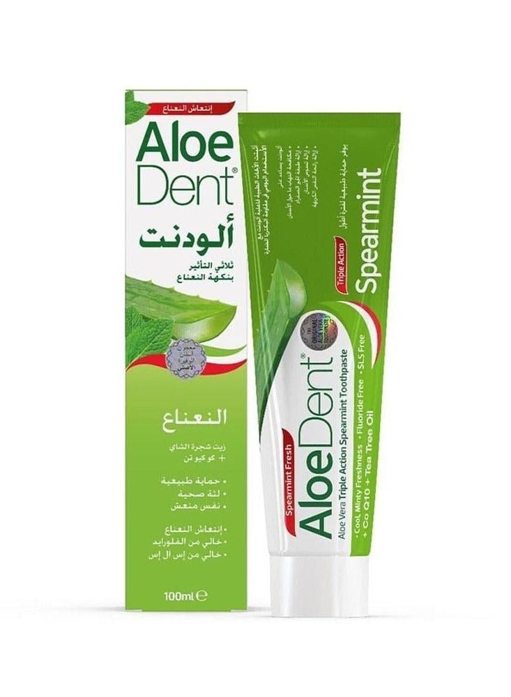 ألودنت الودنت معجون اسنان ثلاثي التأثير بنكهة النعناع 100مل - Image 2