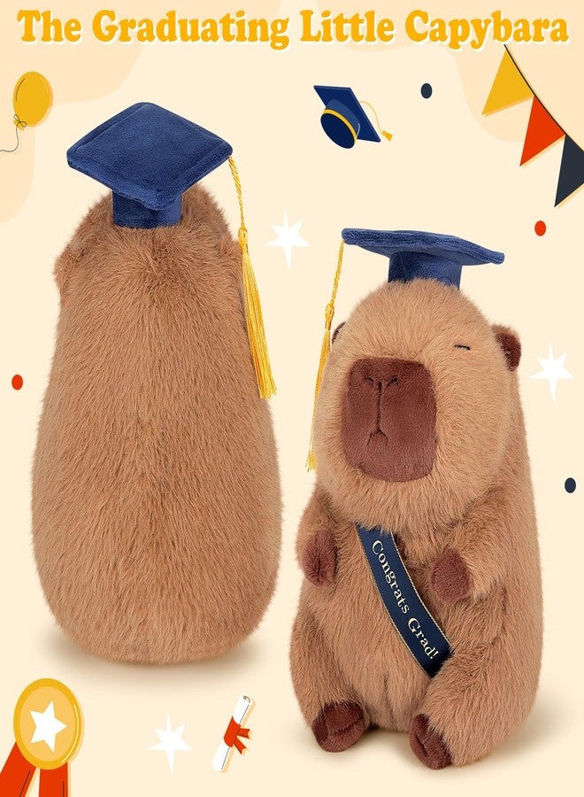 Achwishap Capybara Plush-Graduation Gifts Capybara Stuffed Animal with Tassel Graduation Blue Cap and Congrats Grad Sash,Cute Capybaras Plushies Gifts for Kids Adults Students Graduate Favors,9.1” - Image 4