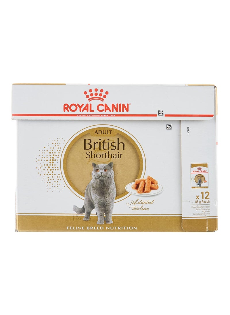 ROYAL CANIN 12 Piece British shorthair Gravy 85g  - Image 1