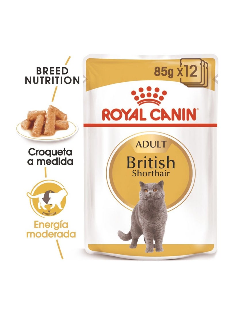 ROYAL CANIN 12 Piece British shorthair Gravy 85g  - Image 2