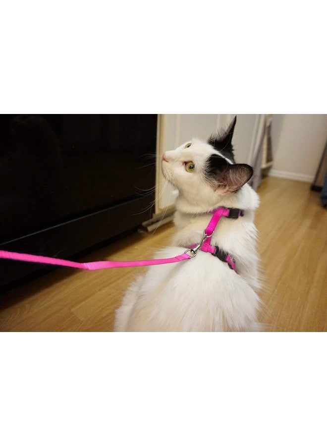 Nylon Harness Leash Set For Cat Kitten And Small Pet Nylon Harness Strap Collar | Cat Training Leash (Plain, Pink) - Image 1