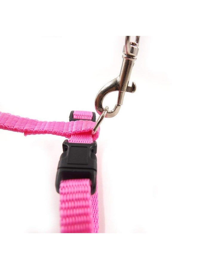 Nylon Harness Leash Set For Cat Kitten And Small Pet Nylon Harness Strap Collar | Cat Training Leash (Plain, Pink) - Image 3