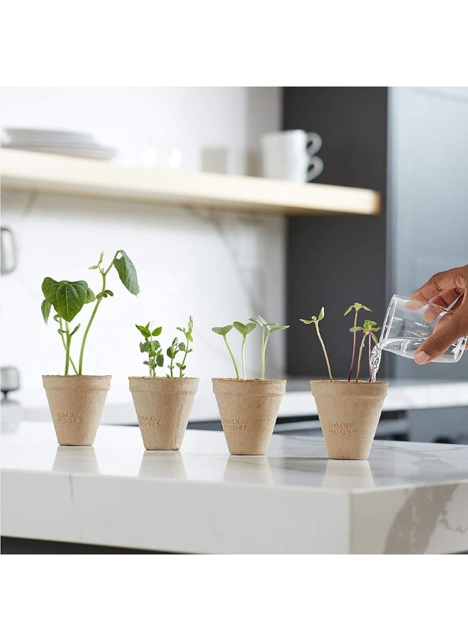 Back to the Roots - Back to the Roots Kids Science Grow Kit - 2 pk Bean and Watermelon - Image 1