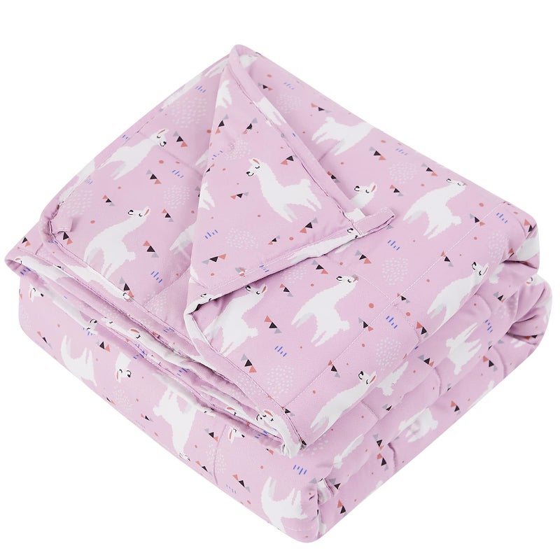 HOSUKKO HOSUKKO Weighted Blanket Weighted Blanket lbs Purple