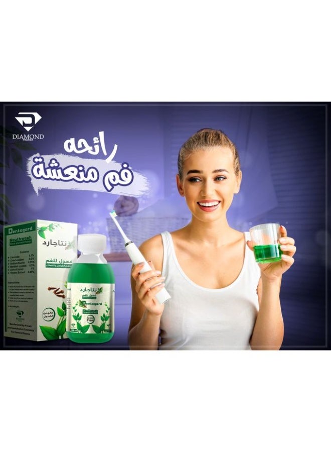 دنتاجارد غسول للفم بنكهة القرنفل والنعناع - 250 مللي - Image 1
