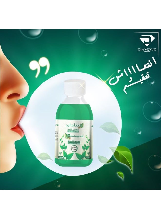 دنتاجارد غسول للفم بنكهة القرنفل والنعناع - 250 مللي - Image 4