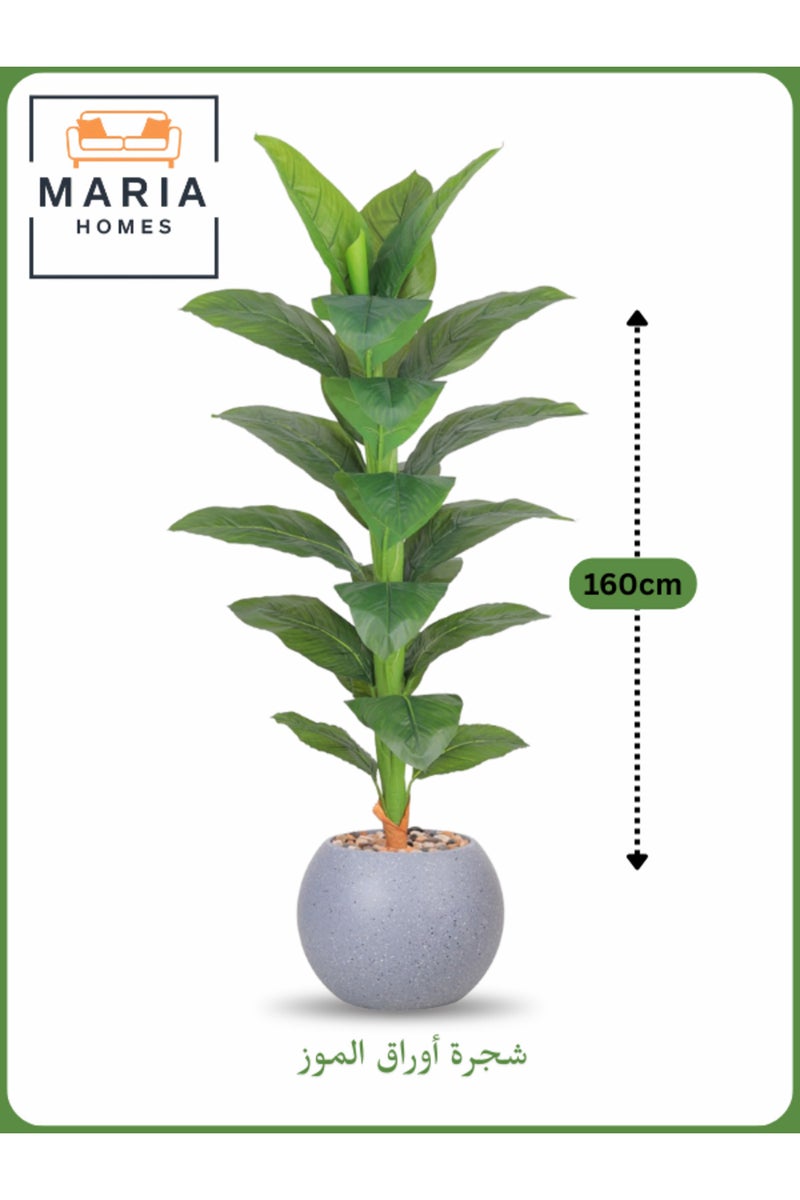 ماريا شجرة موز صناعية بارتفاع 160 سم – نبات داخلي مزخرف مع وعاء رمادي فاتح - Image 2