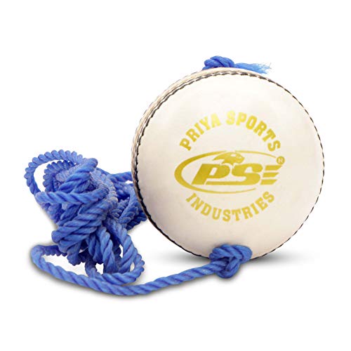 PSE Priya Sports Unisex Leather Hanging Practice Cricket Ball for ODI/Test Match/Practice Match |Pack of 12 |White Color| (White_Pack_of_2, 2) - Image 1