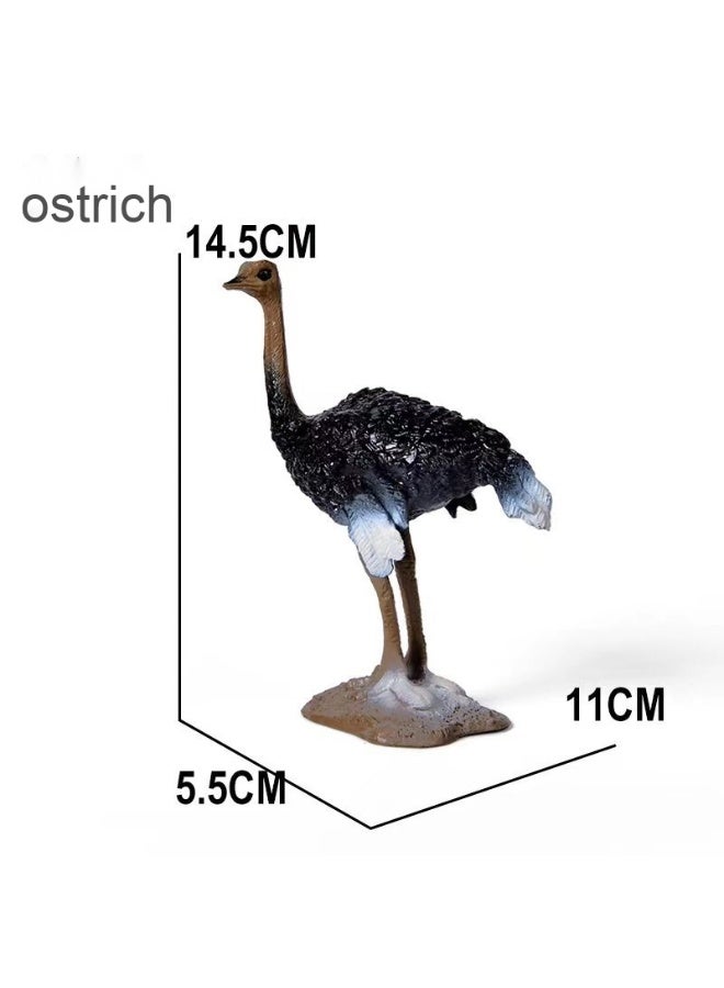 NIBEMINENT Realistic Bird Animal Model Set