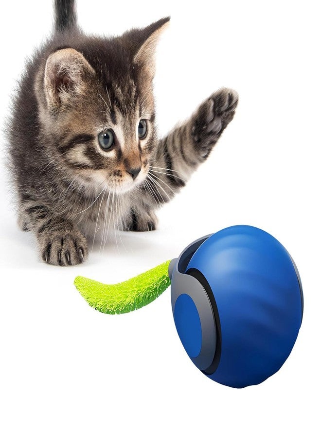 Flavorhaus Speedy Tail Cat Ball 2.0 Chewie Dog Ball Sports Fast Rolling Toy Suitable for Large and Small Dogs and Cats Fun and Engaging Toy for Pets - Image 1