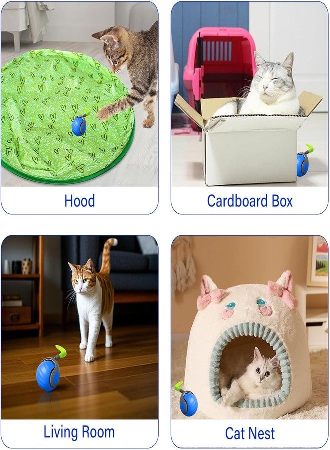 Flavorhaus Speedy Tail Cat Ball 2.0 Chewie Dog Ball Sports Fast Rolling Toy Suitable for Large and Small Dogs and Cats Fun and Engaging Toy for Pets - Image 3