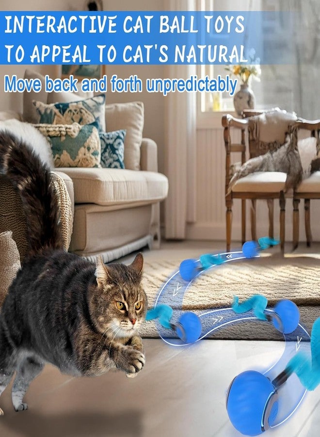 Flavorhaus Speedy Tail Cat Ball 2.0 Chewie Dog Ball Sports Fast Rolling Toy Suitable for Large and Small Dogs and Cats Fun and Engaging Toy for Pets - Image 4