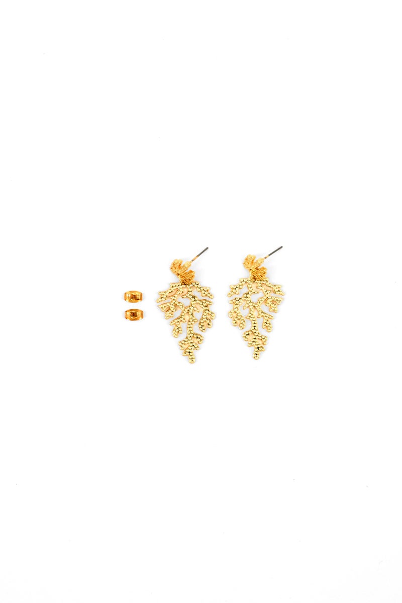 Caracol Women Fashionable Seaweed Shaped Earrings, Gold  - Image 3