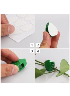 HomarKet 100PCS Garden Plant Climbing Wall Fixture Clips, Invisible Self-Adhesive Fixer Sticky Hook Plants Climbing Wall Support Clip for Supporting Stems Grow Upright, Vines Traction  - Image 5