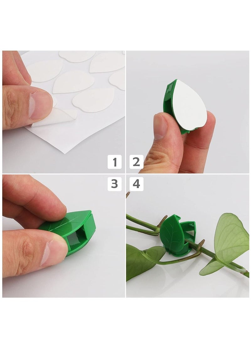 HomarKet 100PCS Garden Plant Climbing Wall Fixture Clips, Invisible Self-Adhesive Fixer Sticky Hook Plants Climbing Wall Support Clip for Supporting Stems Grow Upright, Vines Traction  - Image 5