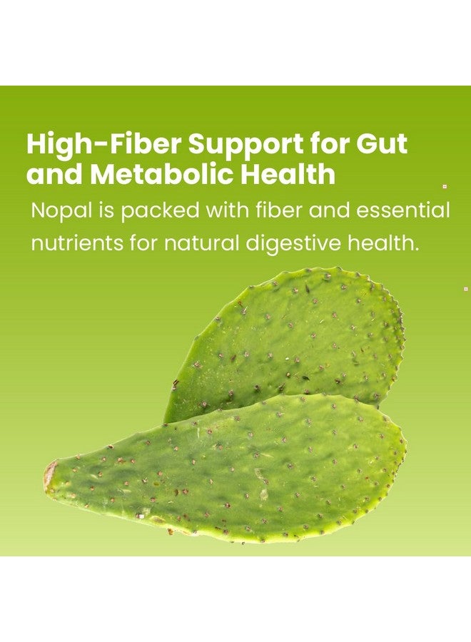 Sanar Naturals Nopal Capsules - Prickly Pear Cactus, GLP-1 Support Fiber Supplement for Digestive Gut Health - Sugar Free, Gluten Free,120 Pills - Image 3