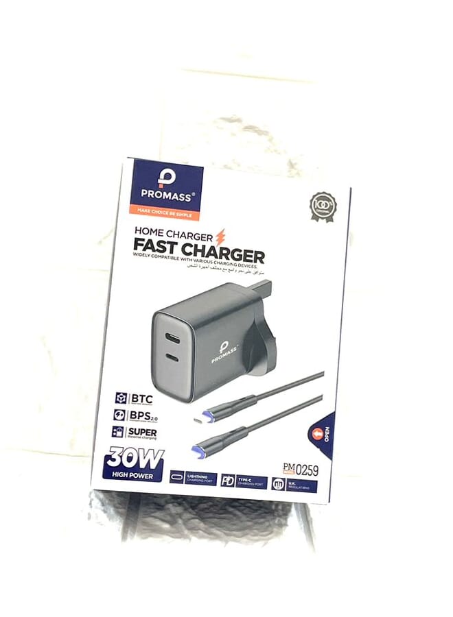 PROMASS Phone Planet 30W Wall Charger (Type C - Lightning) - Image 1