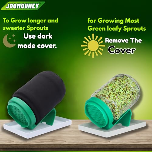 JOOMOUNEY Sprouts Making Glass Jar PACK OF TWO | With Seeds, Sprouter with Mesh Lid | Durable Reusable Sprout Maker Jar for Beans Grains & Seeds | Easy Drainage Hygienic BPA-Free (GREEN) - Image 4