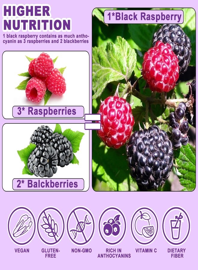 ERCorArt Freeze Dried Black Raspberry Powder - 6.5 OZ Super Fruit Powder, 100% Black Raspberry Extract, No Additive, No Artifical Sugar Non-GMO Natural Food Coloring for Baking, Smoothies, Yogurt - Image 4