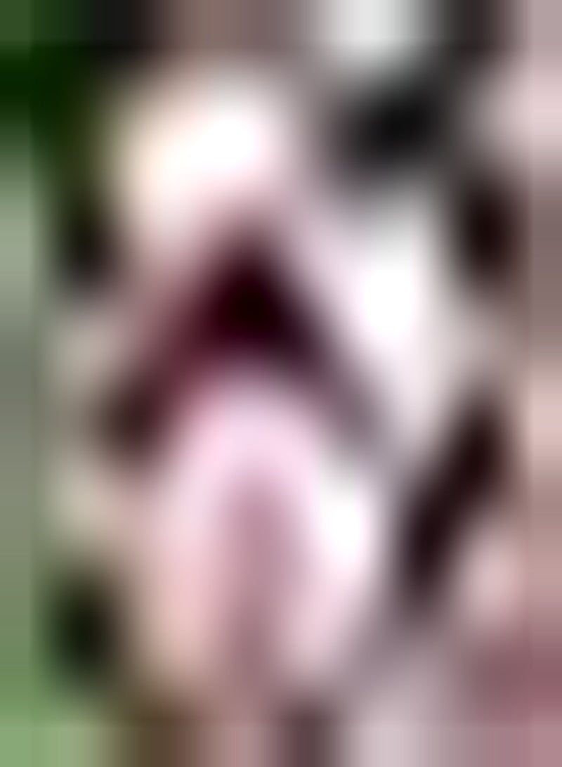 GGOOT 100pcs Pink Hollyhock Seeds Landscape Design Suitable for Arranging Flower Border Lawn Edge Easy to Careful Courtyard Planted Outdoors - Image 2