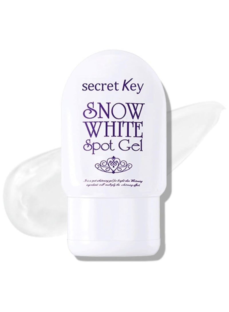Secret Key Snow White Spot Gel 65g - Image 1