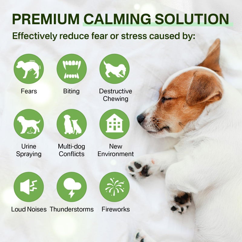 puyrzoe Dog Calming Diffuser with Timing Functions, 6-in-1 Dog Anxiety Relief Diffuser Kit, 120-Day Anxiety Relief, Stress Relaxation Pheromones Calming for All Dogs (2 Diffusers + 4 Refills) - Image 5