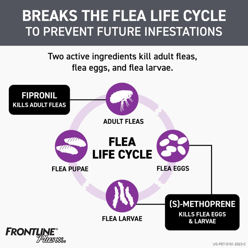 FRONTLINE Plus Flea and Tick Treatment for Medium Dogs Up to 23 to 44 lbs. 8 Treatments - Image 3