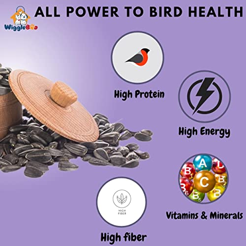 Wiggleboo Premium Sunflower Seeds - for All Life Stages Lovebirds, Cockatiels, Sun Conure, African Grey Parrot, Macaws, Cockatoos_450g - Image 4