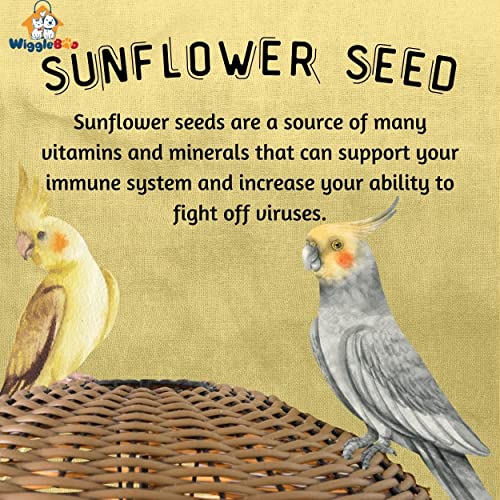 Wiggleboo Premium Sunflower Seeds - for All Life Stages Lovebirds, Cockatiels, Sun Conure, African Grey Parrot, Macaws, Cockatoos_450g - Image 3