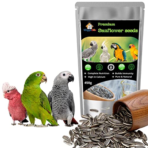 Wiggleboo Premium Sunflower Seeds - for All Life Stages Lovebirds, Cockatiels, Sun Conure, African Grey Parrot, Macaws, Cockatoos_450g - Image 1