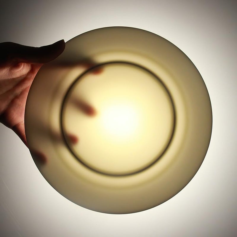 IQCWOOD Porcelain Flat Dinner Plates 6Piece White Dinner Plate Set 8 inches Dessert Salad Plate Serving Dish Set  Oven and Dishwasher Safe Scratch Resistant Modern Dinnerware Party Plates - Image 5