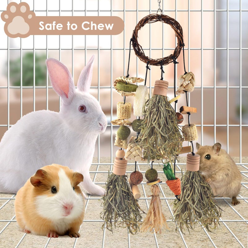 Bissap Rabbit Chew Toy, Bunny Cage Hanging Chewing Toys and Treats Wooden with Snacks for Guinea Pigs Chinchillas Hamsters Rats and Other Small Pets Teeth Grinding (Timothy Hay & Vine) - Image 3