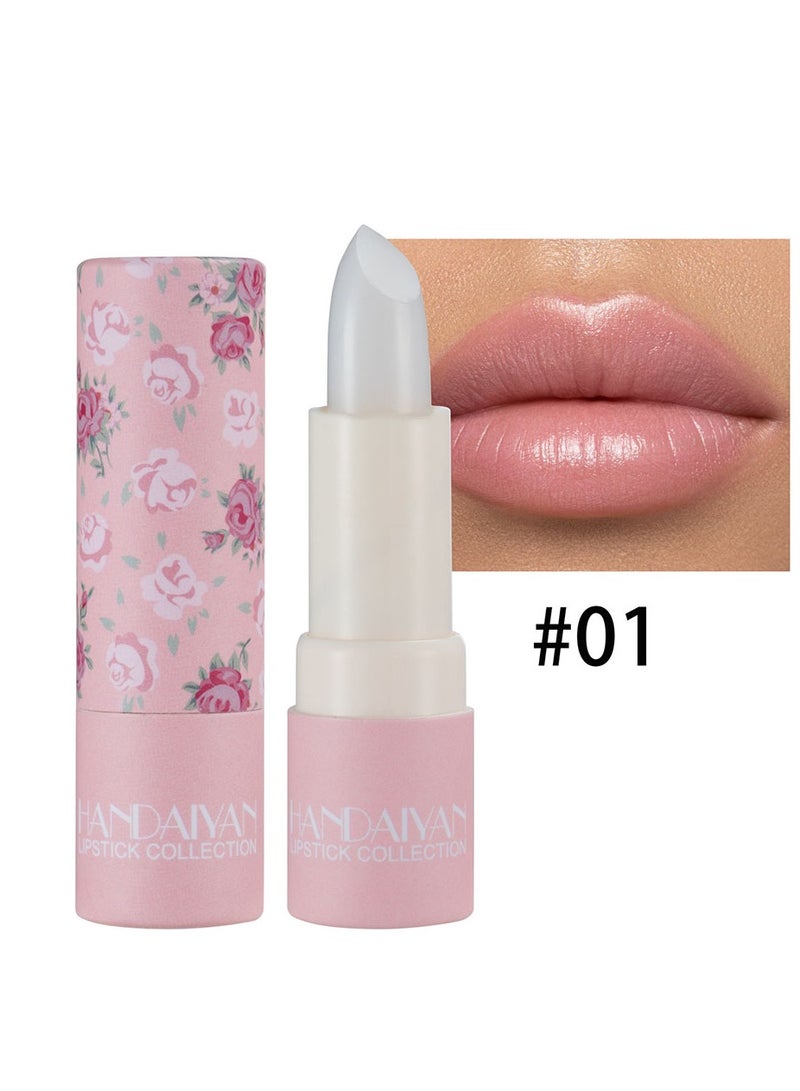 Handaiyan Lipstick For Women Matte Lipsticks Long Lasting Moisturizing Long Wear Waterproof 24 Velvet Act Natural Lip Stain Makeup Tint Nude Superstay Original Highly Pigmented Nourishing Non-Drying - Image 1