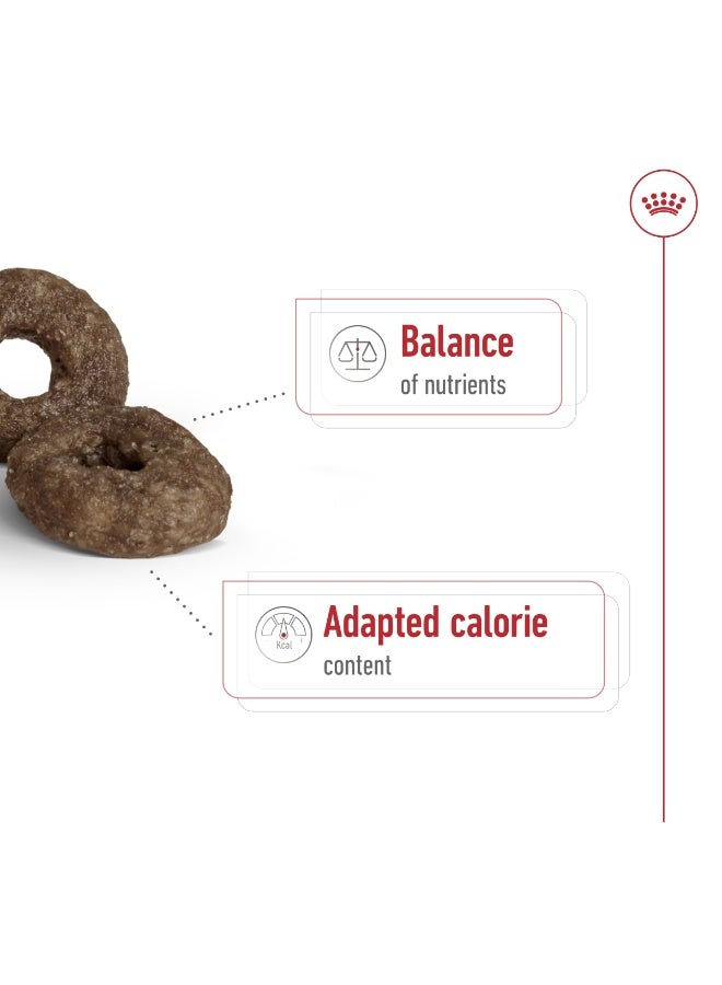 ROYAL CANIN Size Health Nutrition Mini Ageing 12+ 1.5 KG - Image 2