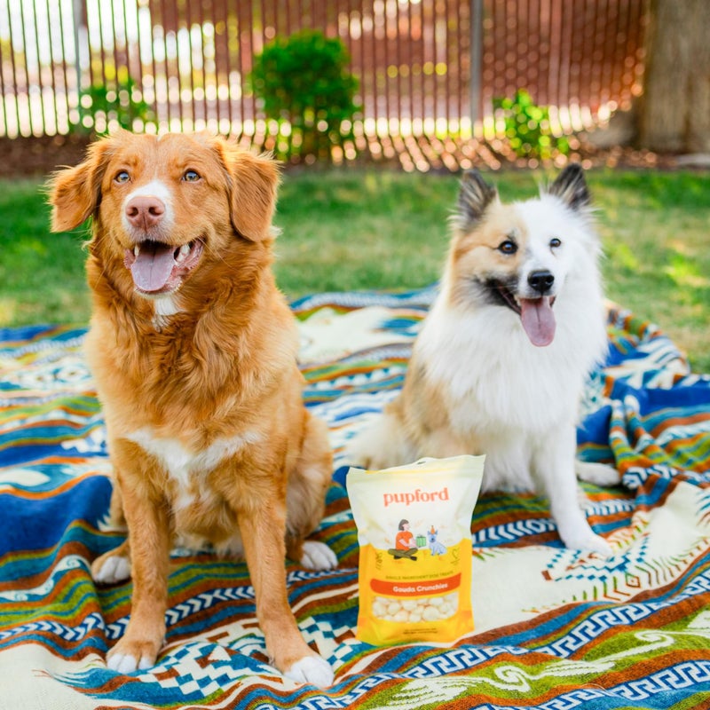Pupford Cheese Crunchies, All-Natural, Healthy, Freeze Dried, Single-Ingredient Treat for Dogs & Puppies (Gouda, 7.50 oz) - Image 4