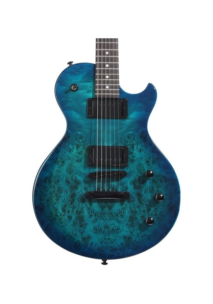 جيتار كهربائي شيكتر سولو-II ستاندرد - أزرق محيطي متدرج بالخشب القشرة