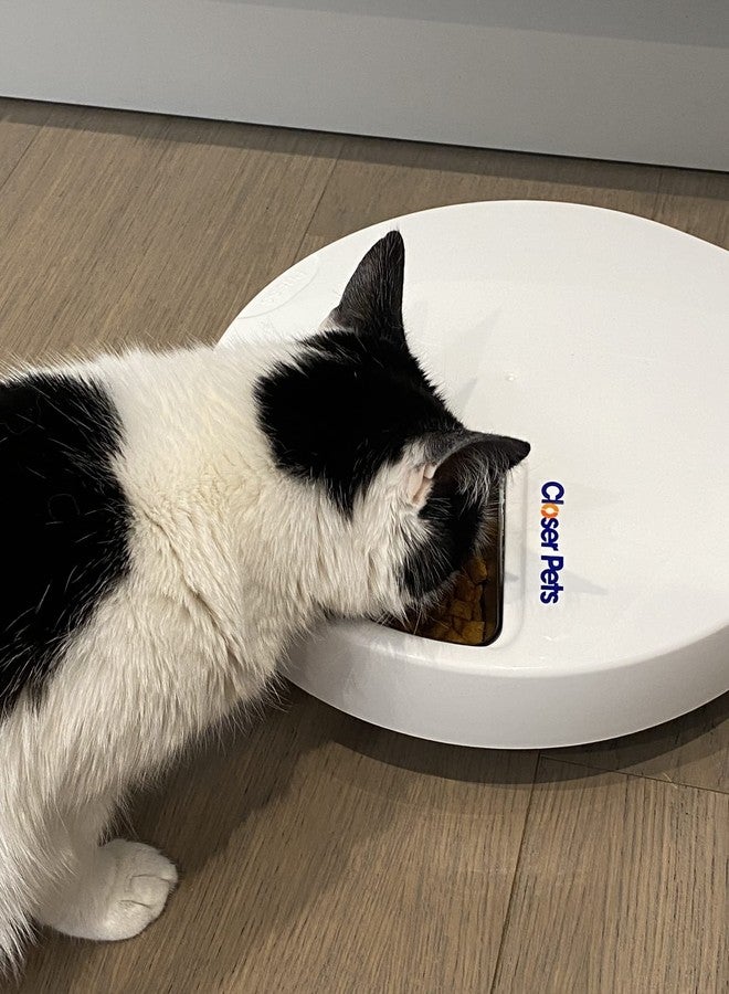 Closer Pets C500 5 Bowl Digital Timer-Controlled Automatic Pet Feeder - 5-Meal Feeder with Stainless Steel Bowl and Ice Packs, Wet or Dry Food, 5 Meals Up to 0.73 lb Each, White - Image 4