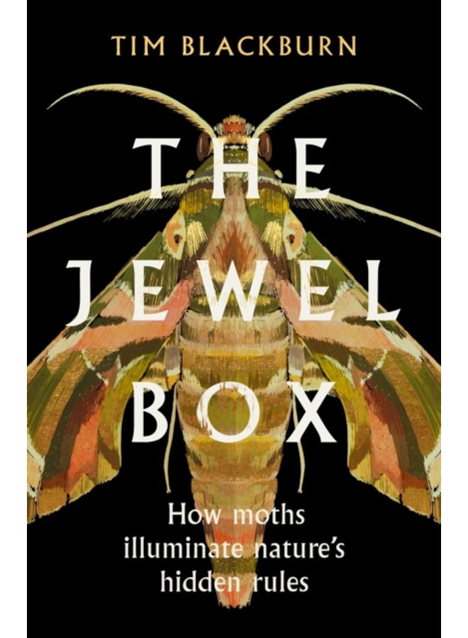 The Jewel Box : How Moths Illuminate Nature???s Hidden Rules 