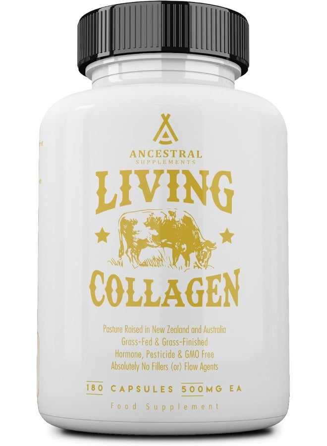 Ancestral Supplements Grass Fed (Living) Collagen-Supports Joints, Marrow Bones, Cartilage, Skin, Hair & Nails (180 Capsules) - Image 1