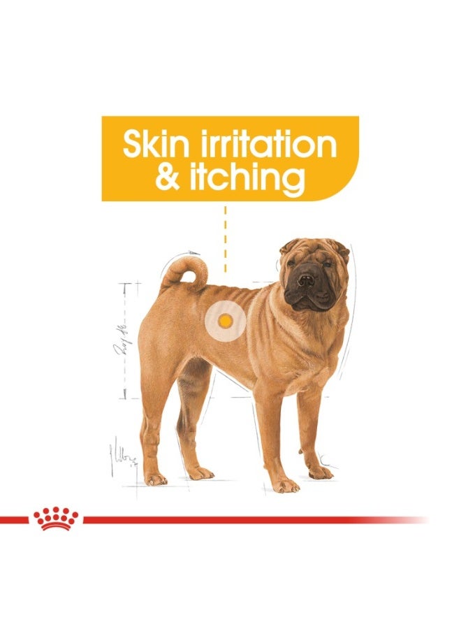 رويال كانين تغذية الكلاب ديرماكومفورت متوسطة الحجم 3 كجم - Image 5