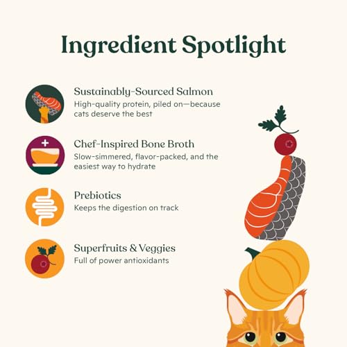 Made by Nacho Dry Cat Kibble 2lb Bag, High Protein and Grain-Friendly Premium Cat Food, Sustainably Caught Salmon and Pumpkin, Infused with Bone Broth for Hydration, Limited Ingredients, Single Bag - Image 4