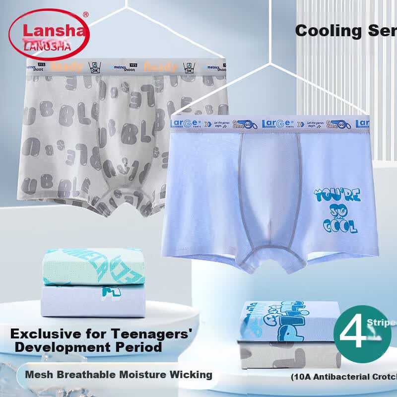 JD Jing Zao LangSha Youth Men's Underwear, Spring And Summer 2026 Mesh Developmental Pure Cotton Antibacterial Boxer Briefs for Middle And High School Students - Image 2