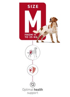 ROYAL CANIN Royal Canin Medium Adult  - Image 3