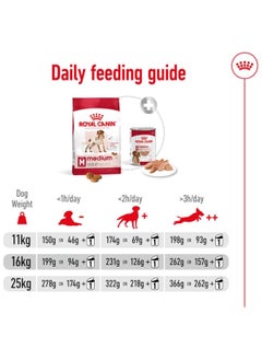 ROYAL CANIN Royal Canin Medium Adult  - Image 5