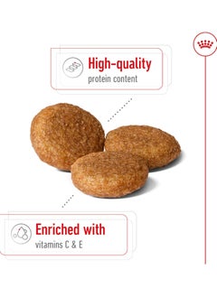 ROYAL CANIN Royal Canin Medium Adult  - Image 2