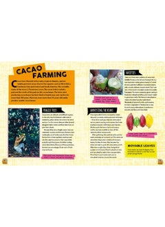 The Story of Food: Chocolate  - Image 2